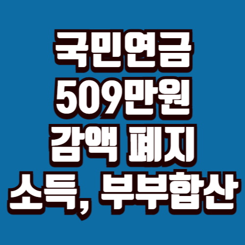 국민연금 509만원 감액 폐지