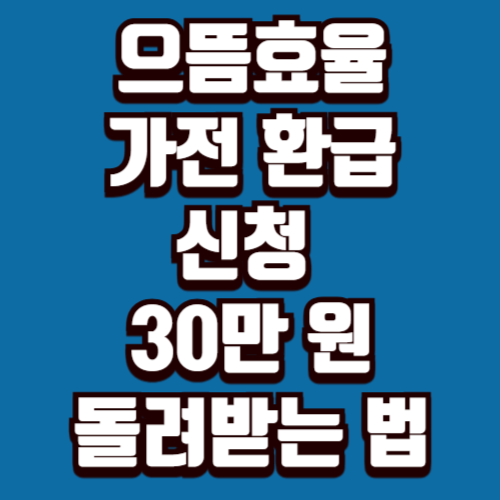 2025 으뜸효율 가전제품 환급 신청 방법 30만 원 돌려받는 법