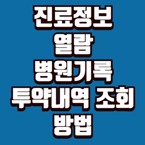 내 진료정보 열람 진료기록·투약내역 조회 방법