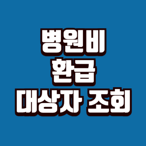 병원비 환급 대상자 조회