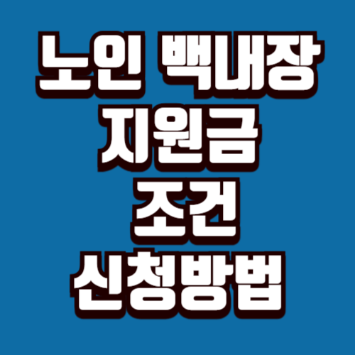 노인 백내장 비용 지원 정부 지원금 조건