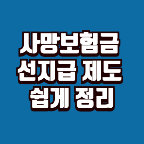 사망보험금 선지급 제도 쉽게 정리