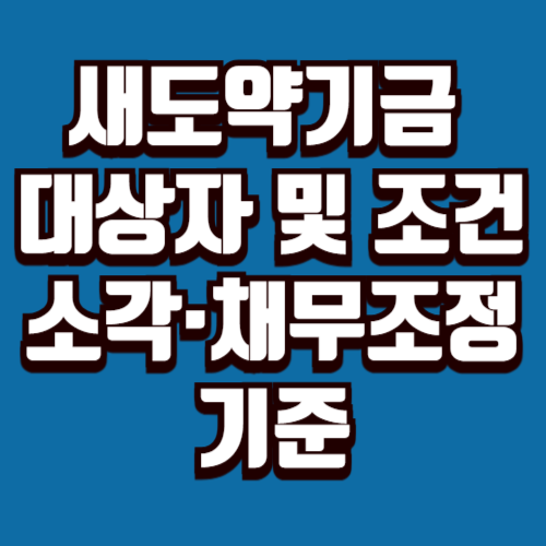 새도약기금 대상자 및 조건｜소각·채무조정 기준