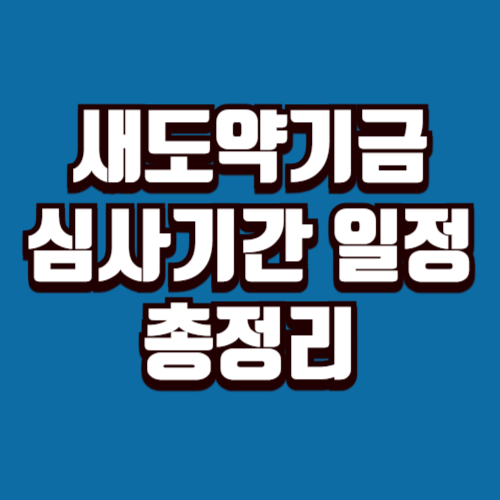 새도약기금 심사기간 및 일정｜2025년 매입·소각 타임라인 정리