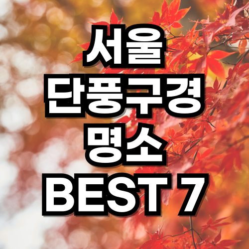 서울 단풍놀이 명소 TOP 7 추천