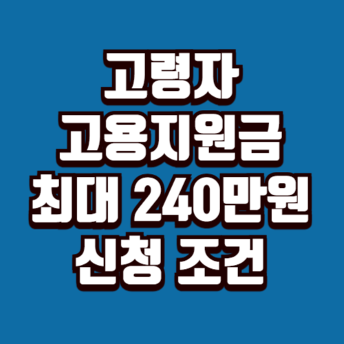 고령자 고용지원금이란 최대 240만원 신청 조건