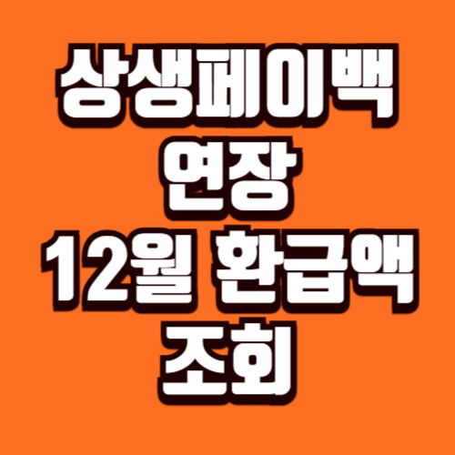 상생페이백 연장 12월 환급액 조회